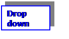 Text Box: Drop down lists